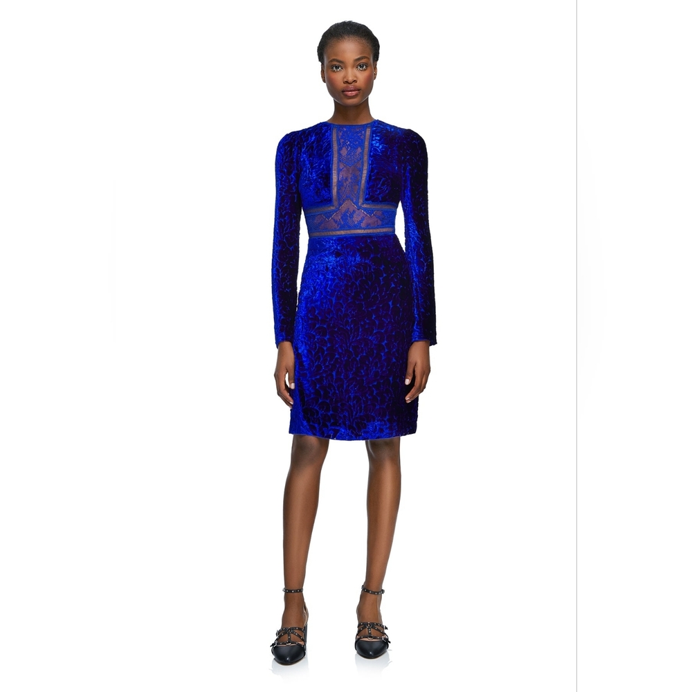 Tadashi Shoji Dress